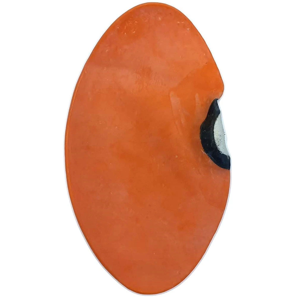 Morgan Sports Floor To Ceiling Ball Bladder 1 Morgan Sports Floor To Ceiling Ball Bladder