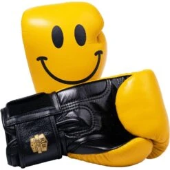 Raja Boxing Smile Leather Boxing Gloves -Boxing Supplies Shop RFBGV 1 SM c 2