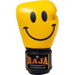 Raja Boxing Smile Leather Boxing Gloves -Boxing Supplies Shop RFBGV 1 SM c 3