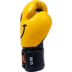 Raja Boxing Smile Leather Boxing Gloves -Boxing Supplies Shop RFBGV 1 SM c 4