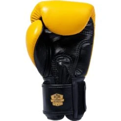 Raja Boxing Smile Leather Boxing Gloves -Boxing Supplies Shop RFBGV 1 SM c 5