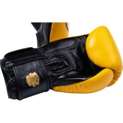 Raja Boxing Smile Leather Boxing Gloves -Boxing Supplies Shop RFBGV 1 SM c 7