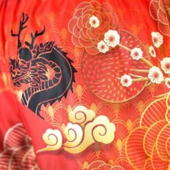 Tuff The Legendary Dragon Thai Boxing Shorts -Boxing Supplies Shop TUF MS669 c 4